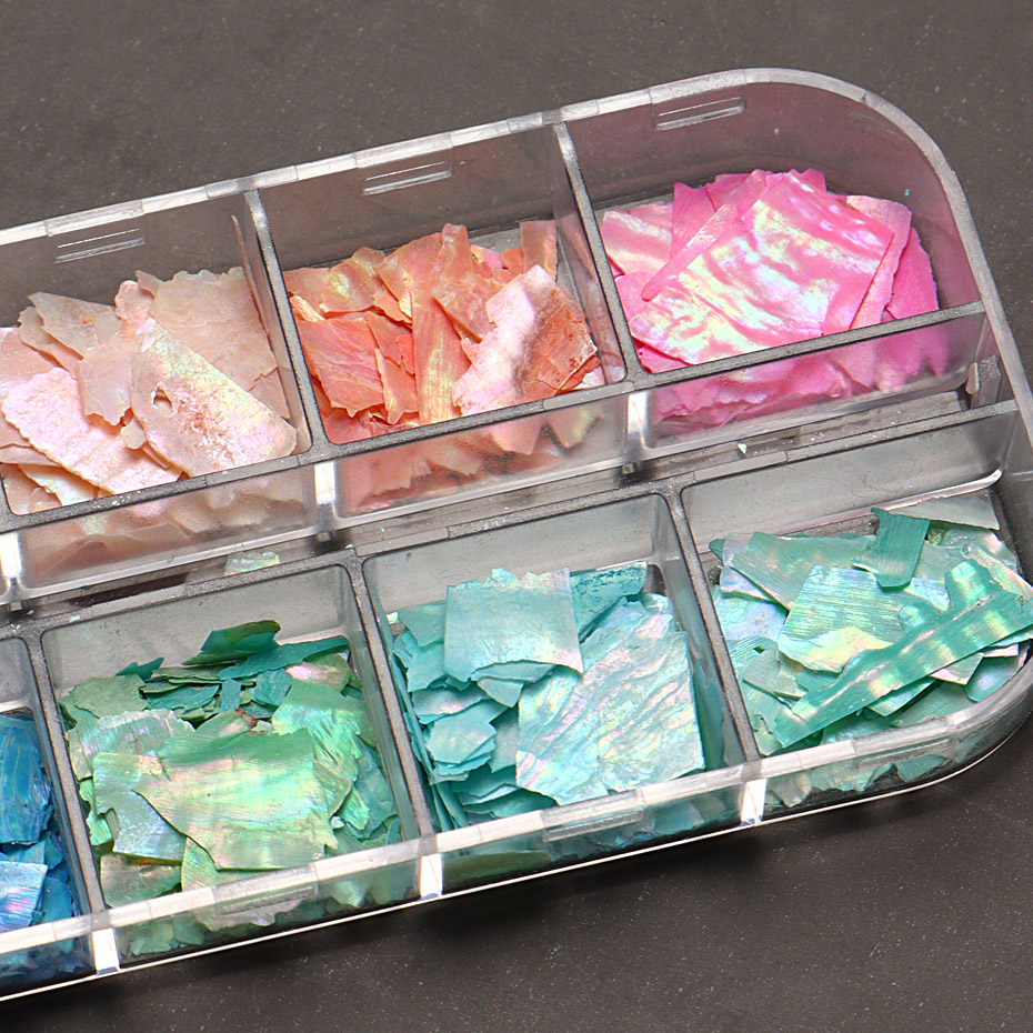 12 escamas de concha de abulón - Tech Accessories Box reseña y precio